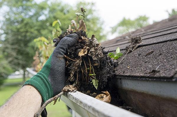 gutter cleaning typically involves the use of a ladder, gloves, a scoop, and a hose